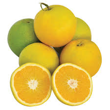 Orange - Andalus Global Produce SL